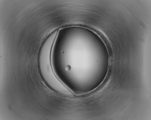 X0000113160785200909181810