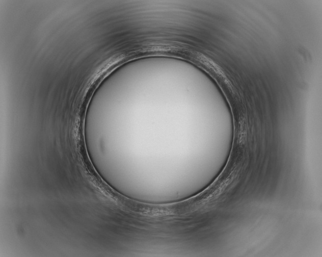 X0000113160786200909181810