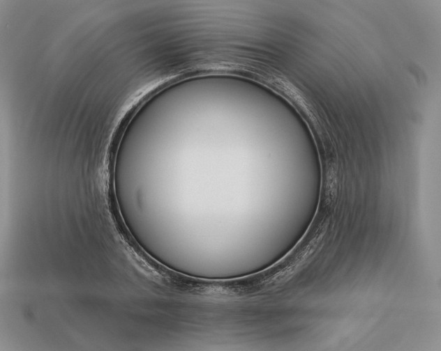 X0000113160787200909181810