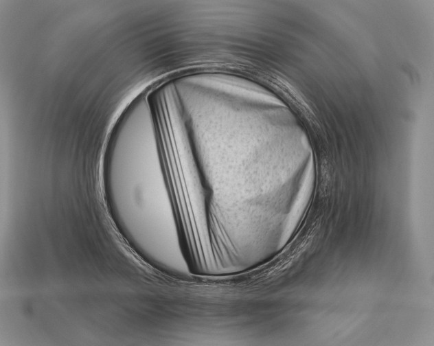 X0000113160788200909181810