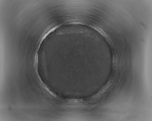 X0000113160790200909181810