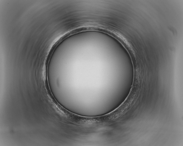 X0000113160791200909181810