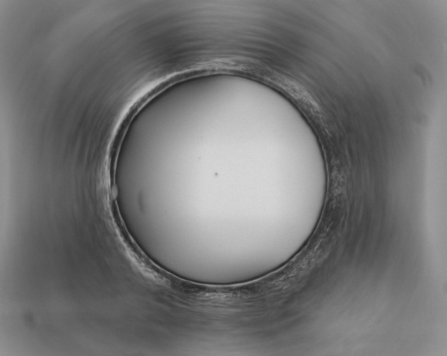 X0000113160792200909181810