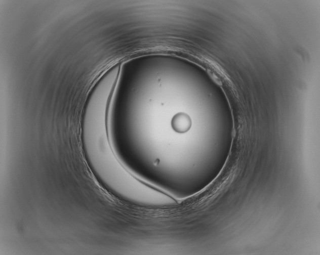 X0000113160793200909181810