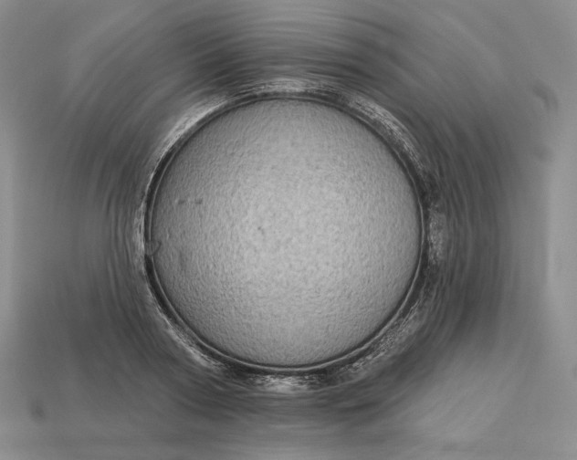 X0000113160794200909181810