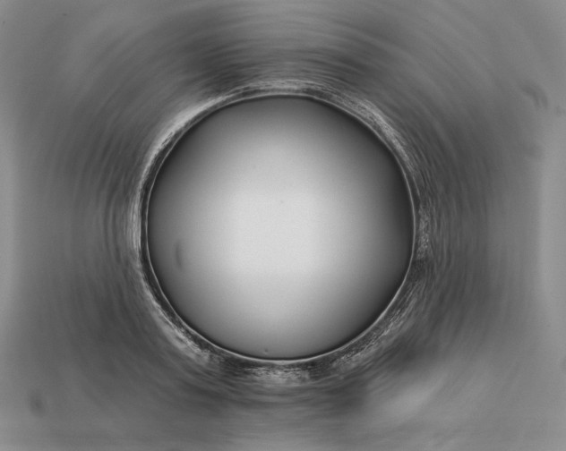 X0000113160795200909181810