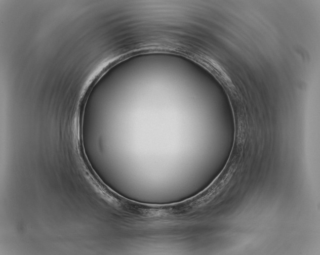 X0000113160796200909181810