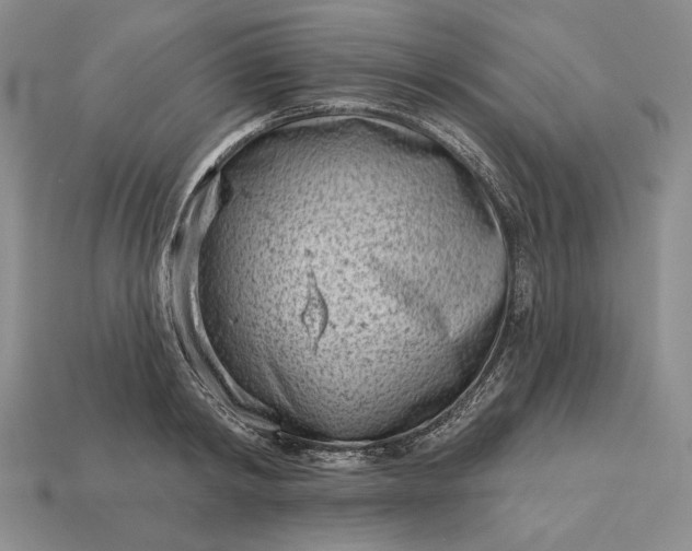 X0000113160798200909181810