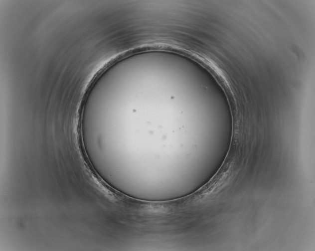 X0000113160799200909181810