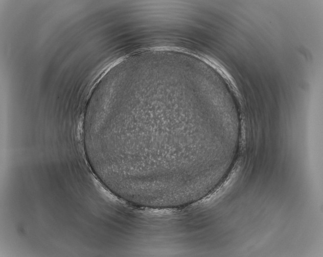 X0000113160801200909181810