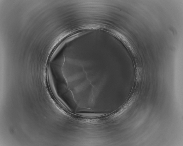 X0000113160802200909181810