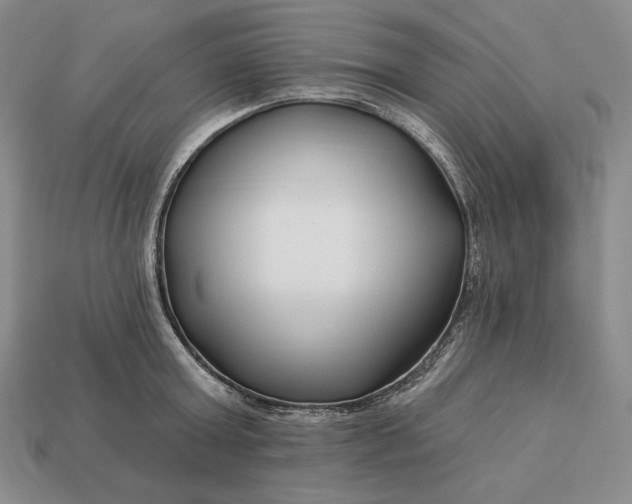 X0000113160803200909181810