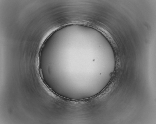 X0000113160804200909181810