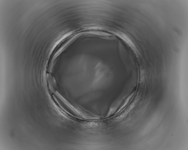 X0000113160806200909181810