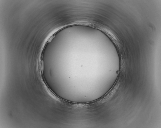 X0000113160808200909181810