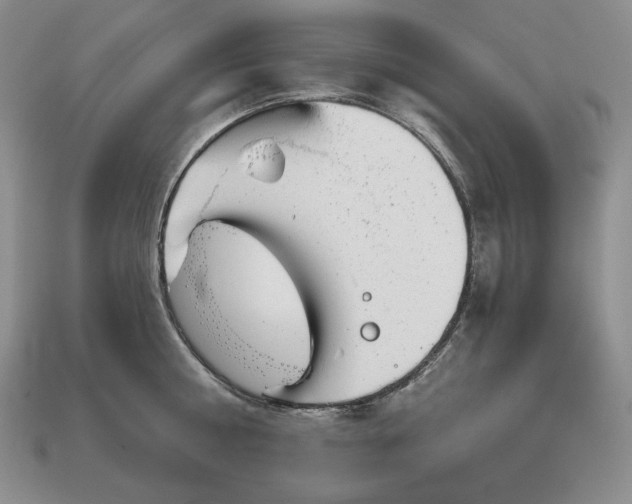 X0000113160810200909181810