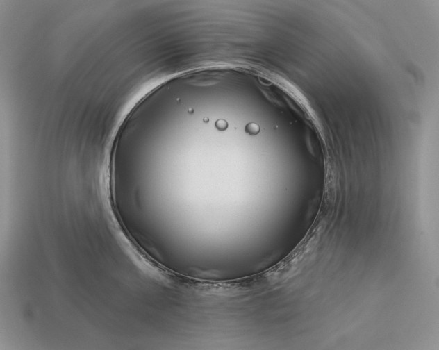 X0000113160811200909181810