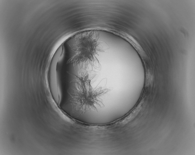 X0000113160812200909181810