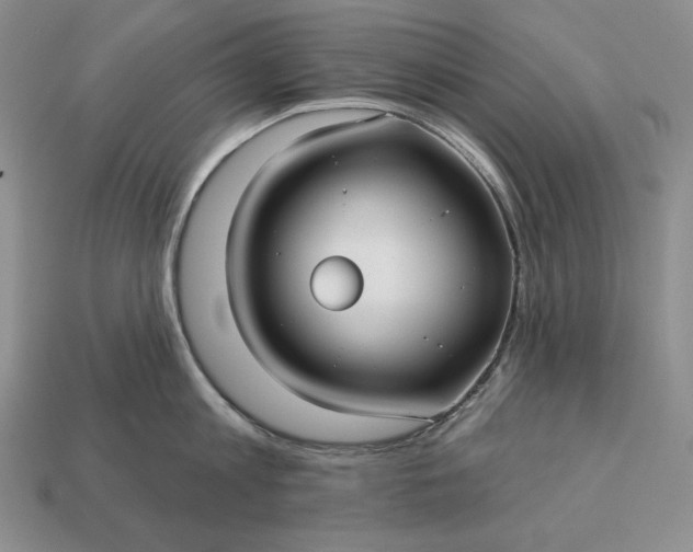 X0000113160813200909181810