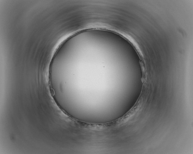 X0000113160815200909181810