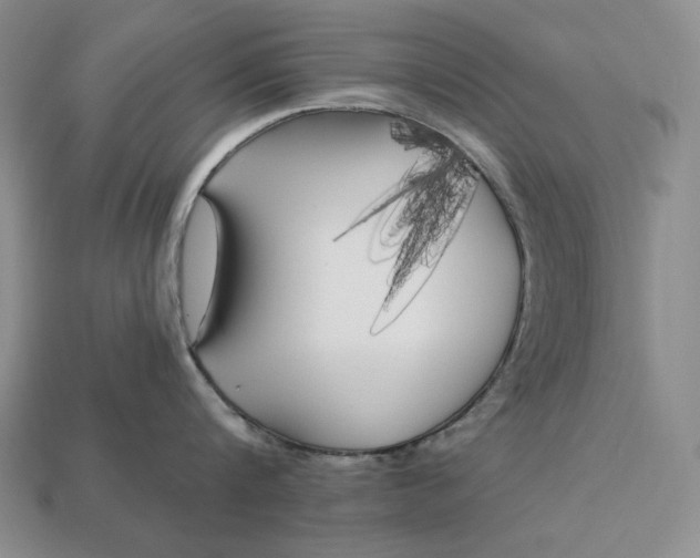 X0000113160816200909181810