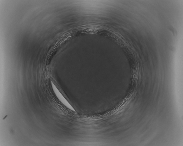 X0000113160818200909181809