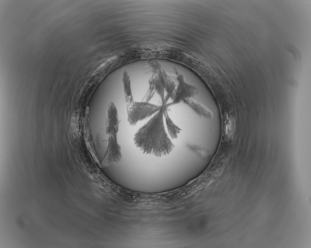 X0000113160819200909181809