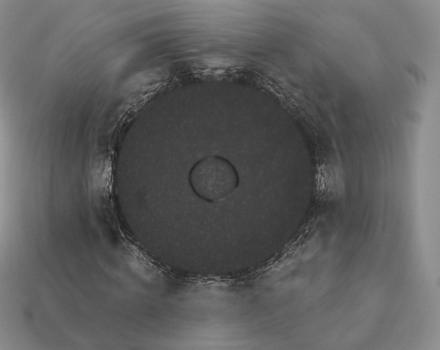 X0000113160820200909181809