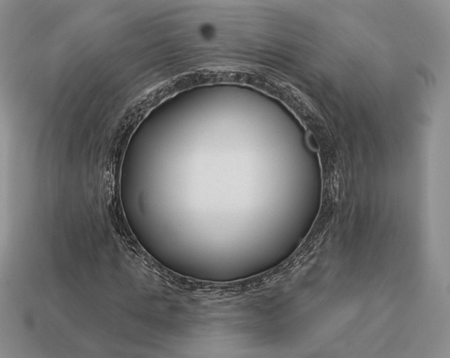 X0000113160821200909181809