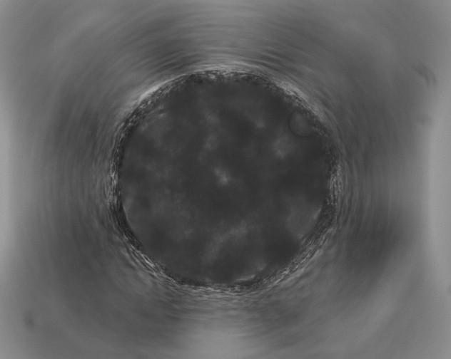 X0000113160822200909181809