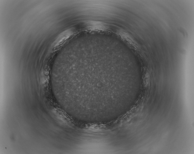 X0000113160824200909181809