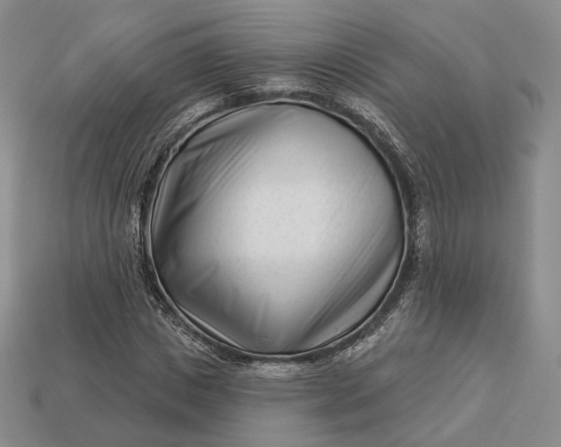 X0000113160825200909181809