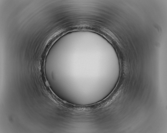 X0000113160826200909181810