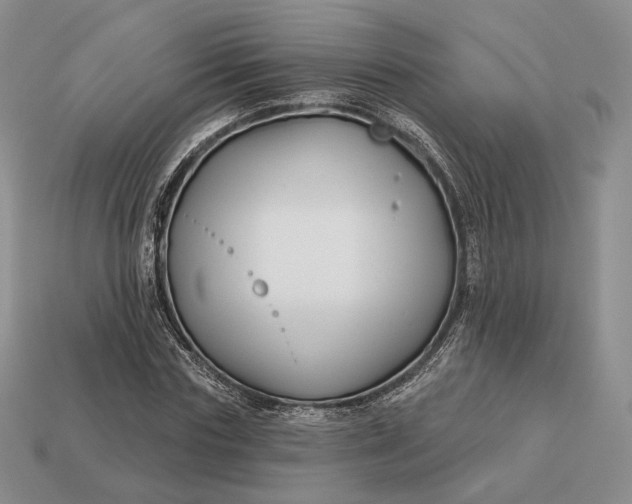 X0000113160827200909181810