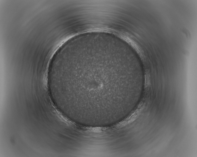 X0000113160828200909181810