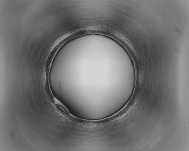 X0000113160829200909181810