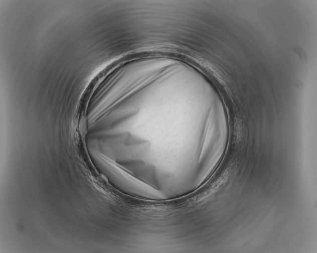 X0000113160830200909181810