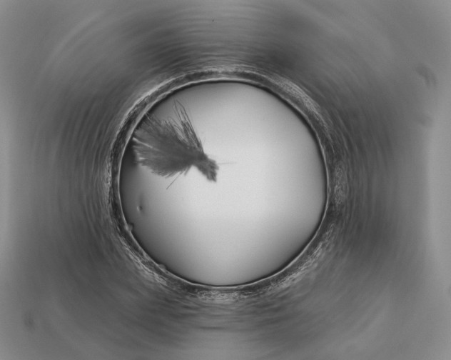 X0000113160831200909181810