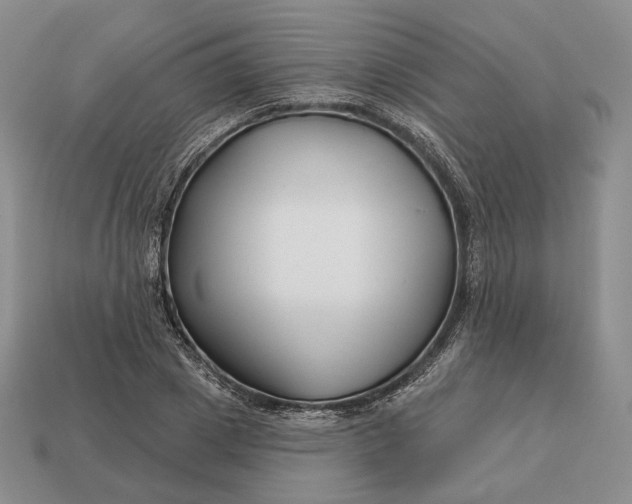 X0000113160833200909181810