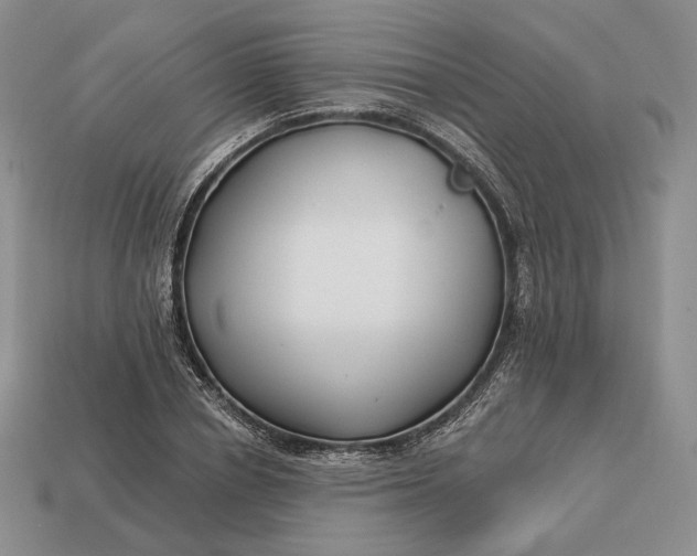 X0000113160834200909181810