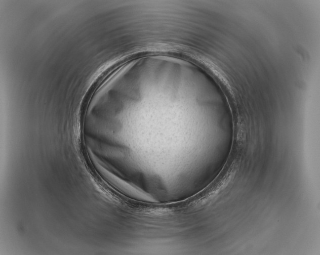 X0000113160837200909181810