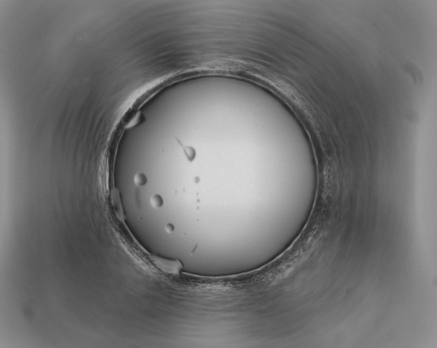 X0000113160838200909181810