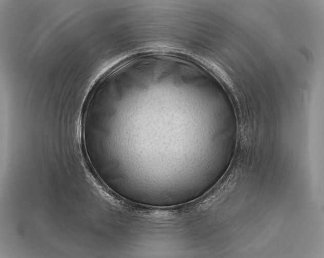 X0000113160839200909181810