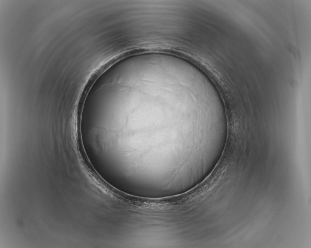 X0000113160840200909181810