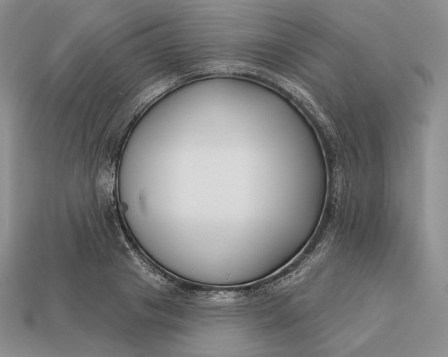 X0000113160841200909181810