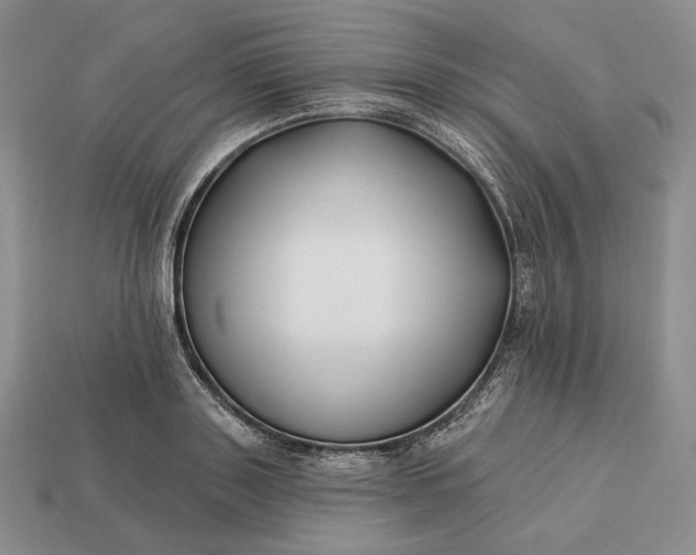 X0000113160843200909181810