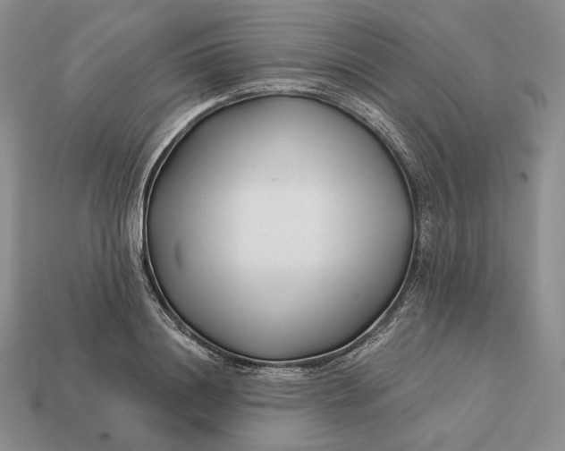 X0000113160844200909181810