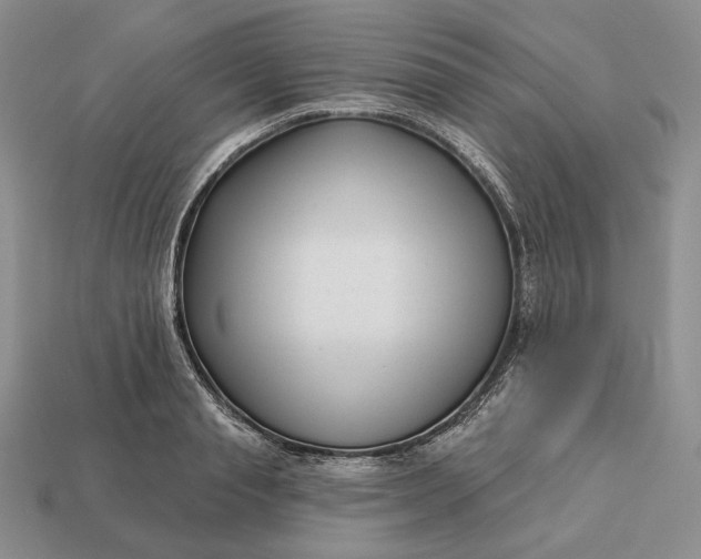 X0000113160845200909181810