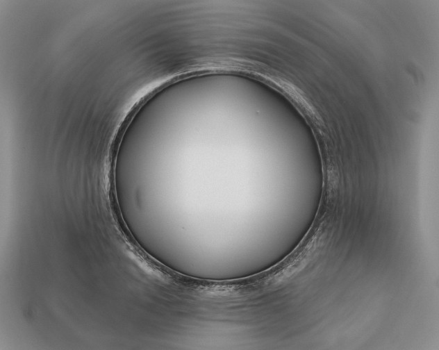 X0000113160846200909181810