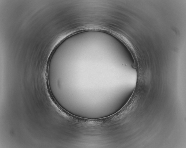 X0000113160847200909181810